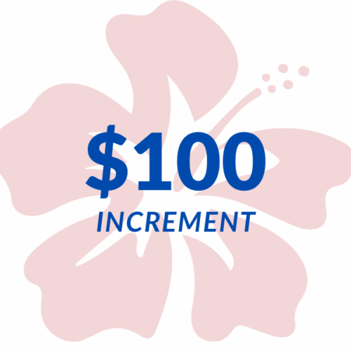 $100 Increment