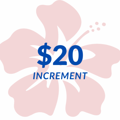 $20 Increment