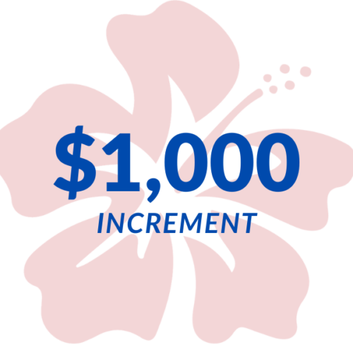 $1,000 Increment