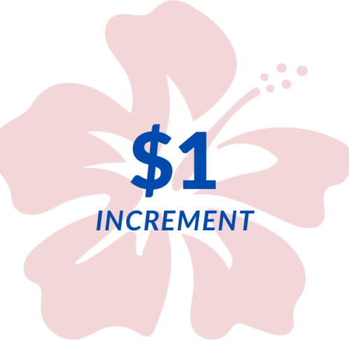$1 Increment